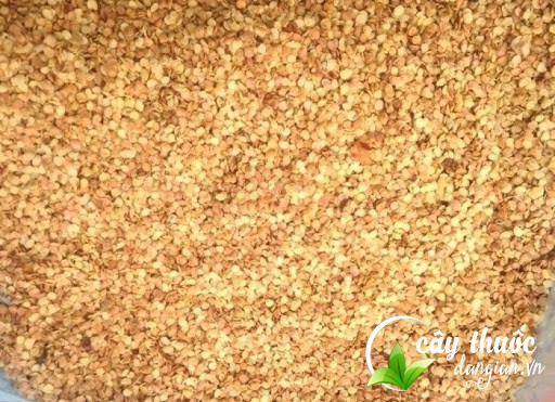 hat-giong-ca-gai-leo